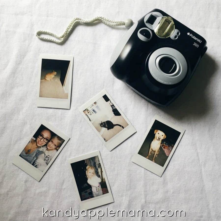 Focus on Great Photography