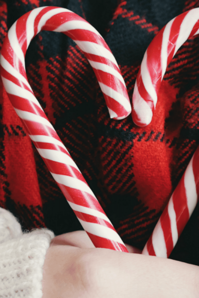Give back this holiday season