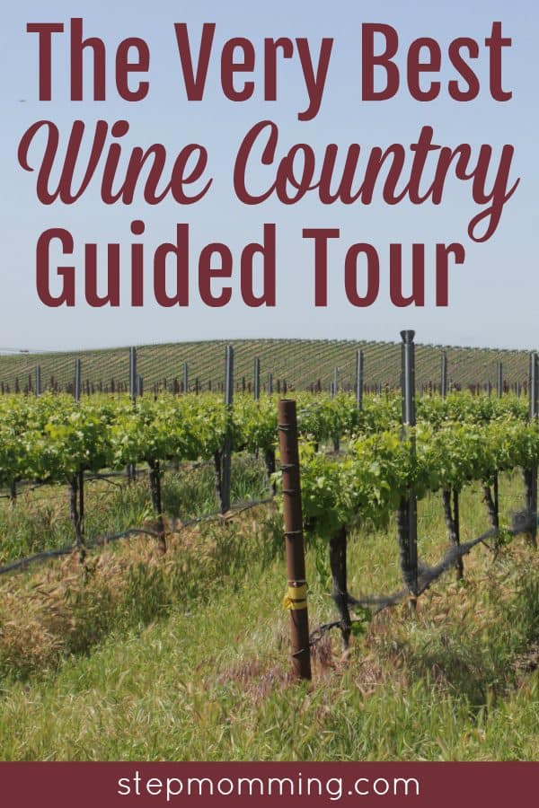 The Very Best Wine Country Guided Tour | Wine Country Tour | Visiting Wine Country | Napa California Wine Tours | Visiting Napa | Traveling to Napa Valley | Tours from San Francisco to Napa | Green Dream Tours Review